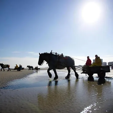 Family In Nieuwpoort, Cleaning Included