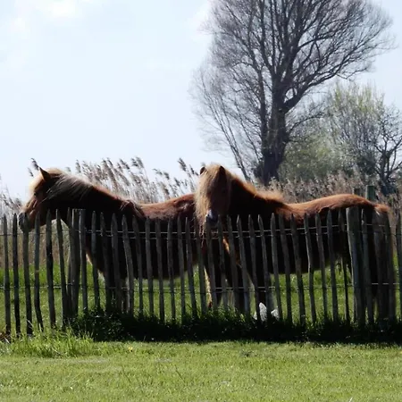 Family In Nieuwpoort, Cleaning Included *